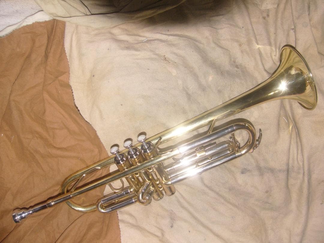 幻の銘器種！！/リチャードRichard（バックスタイルモデル）生産終了品