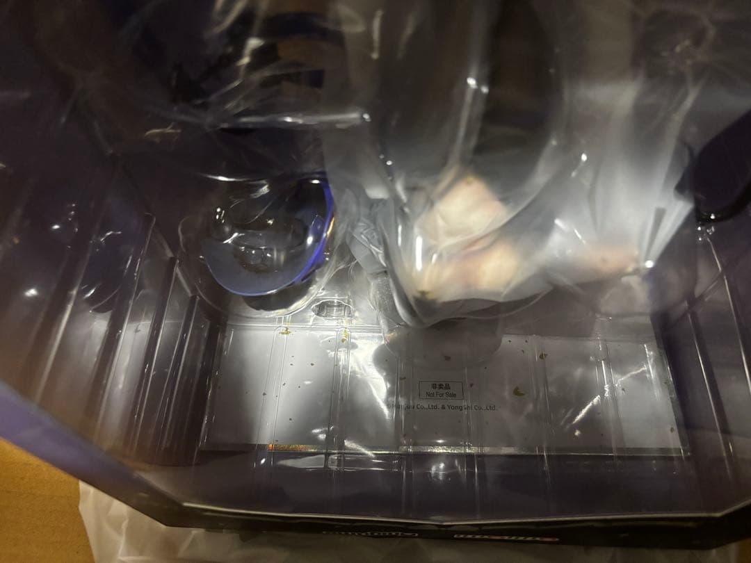 新品未開封　アズールレーン チェシャー 1/6 あみあみ×AniGame