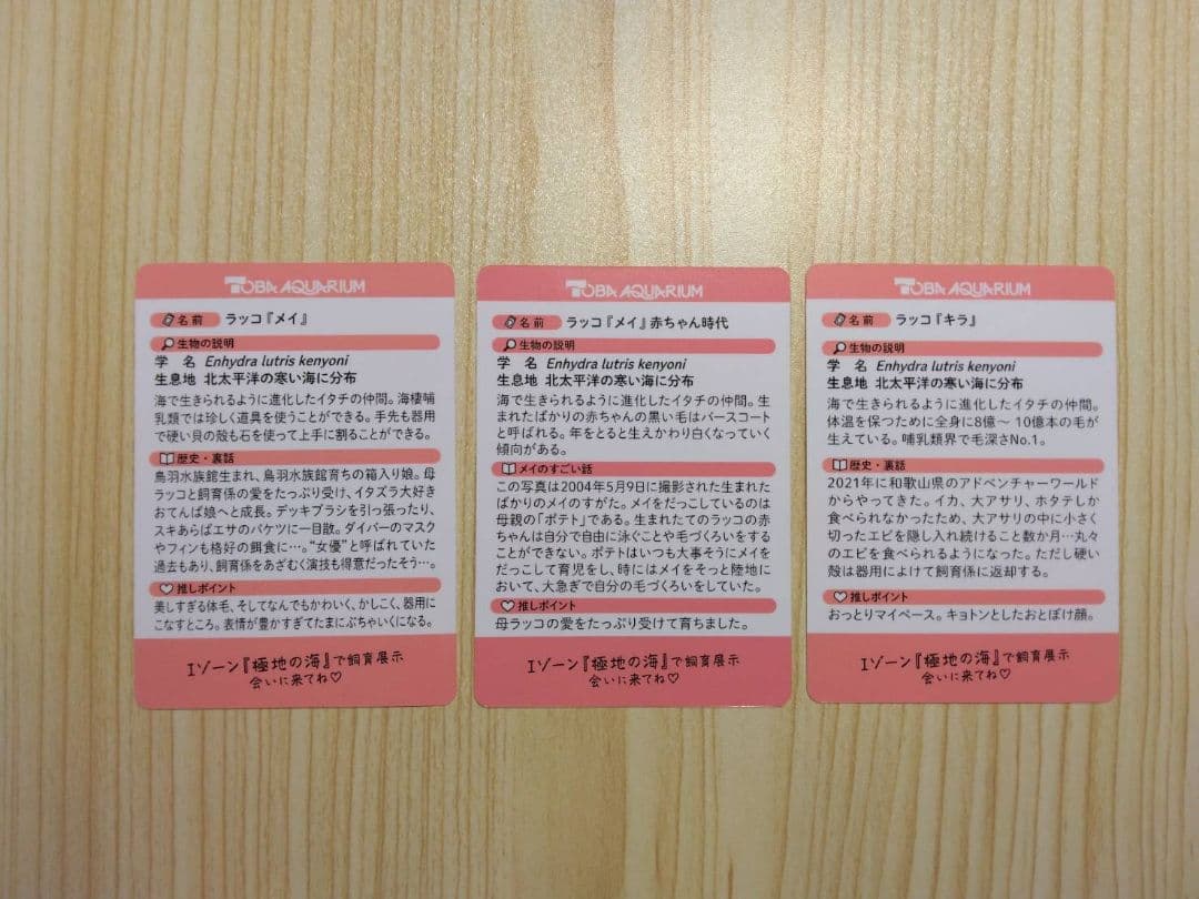 鳥羽水族館　 70周年記念 コレクションカード メイ（レアカード）セット