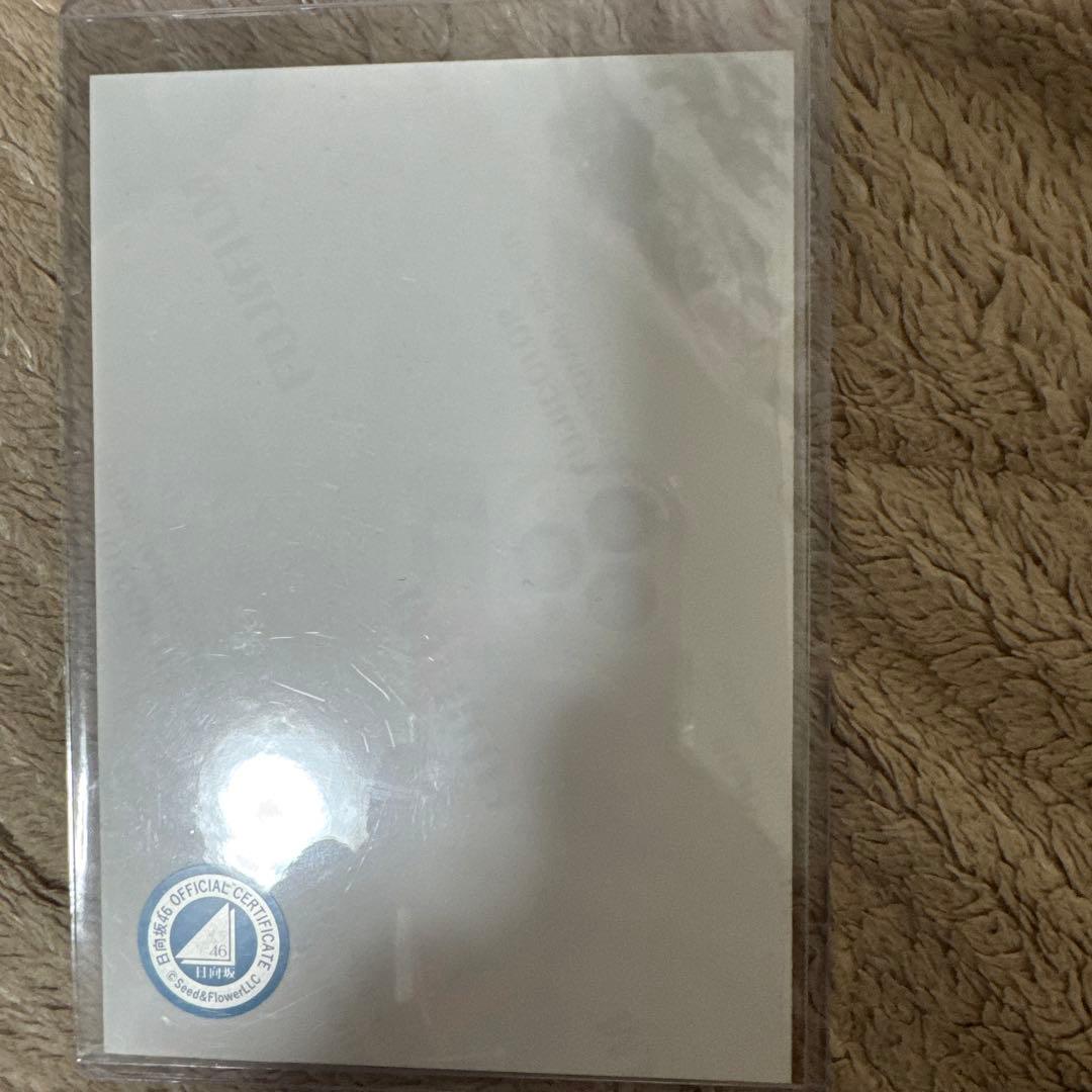 小坂菜緒 サイン入り写真 日向坂46