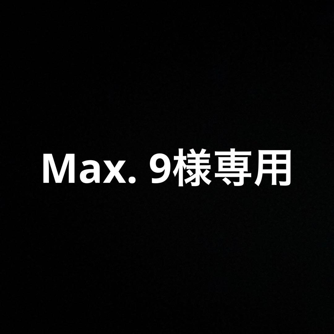 ホビーラジコン Max. 9