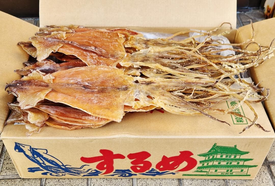 希少な特々大サイズ☆北海道産松前するめ10枚で約750gプレゼントにも