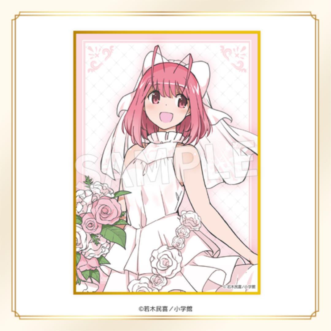 神のみぞ知るセカイ くじ セット