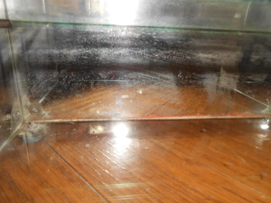 【非売品】不二家チョコレート店頭用ガラスケース（昭和レトロ）