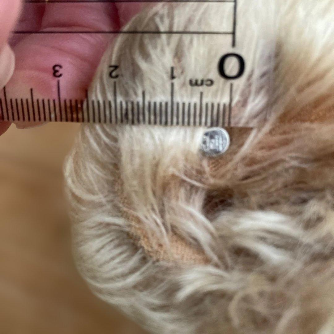 シュタイフ　アンティークベア