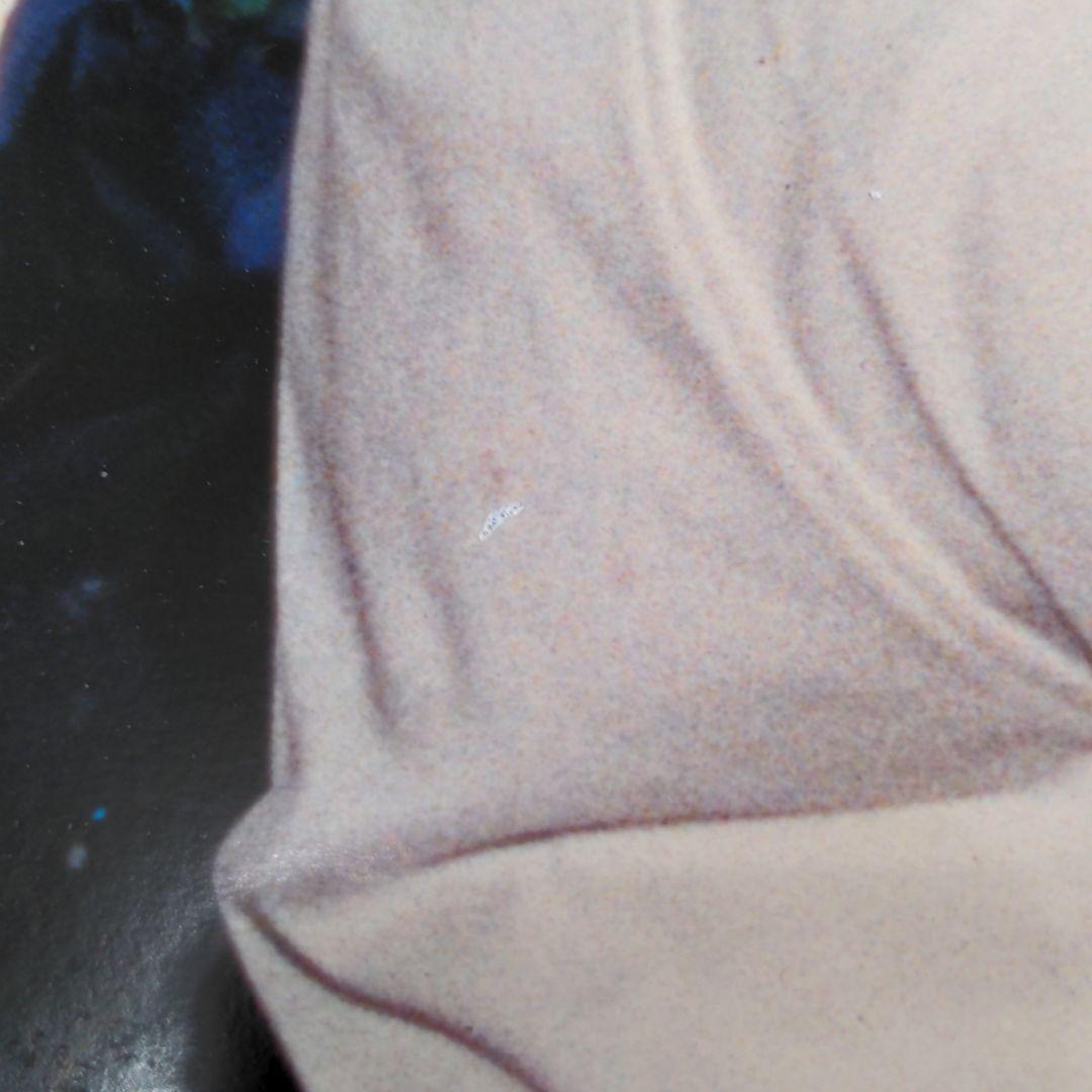 原辰徳引退試合　写真パネル