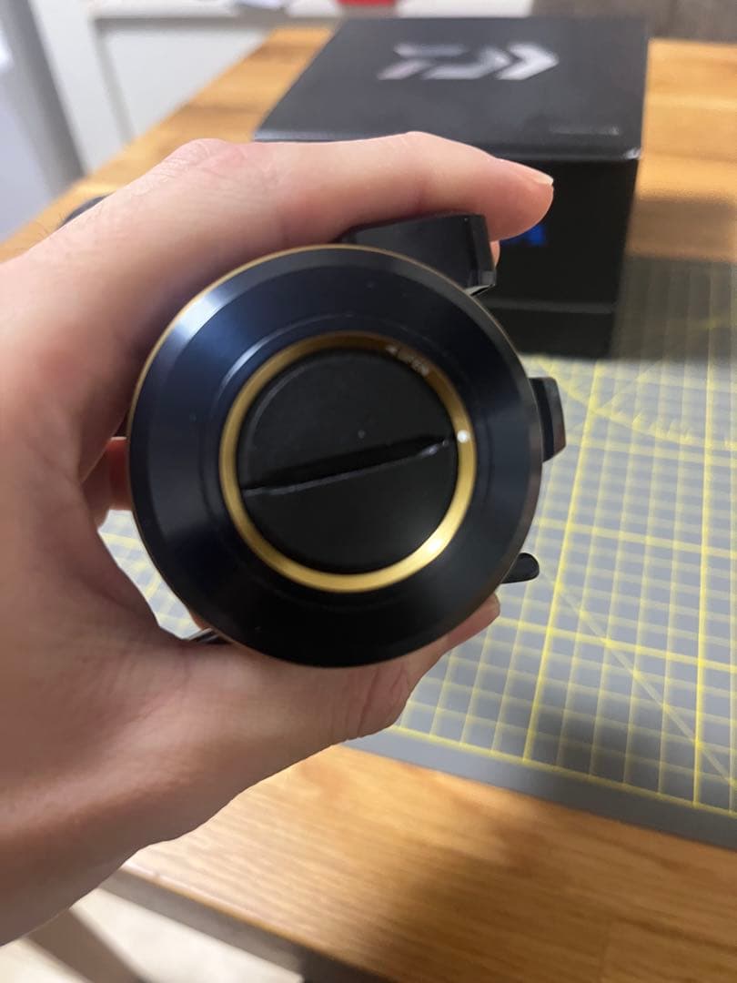 DAIWA SALTIGA IC-300L ベイトリール