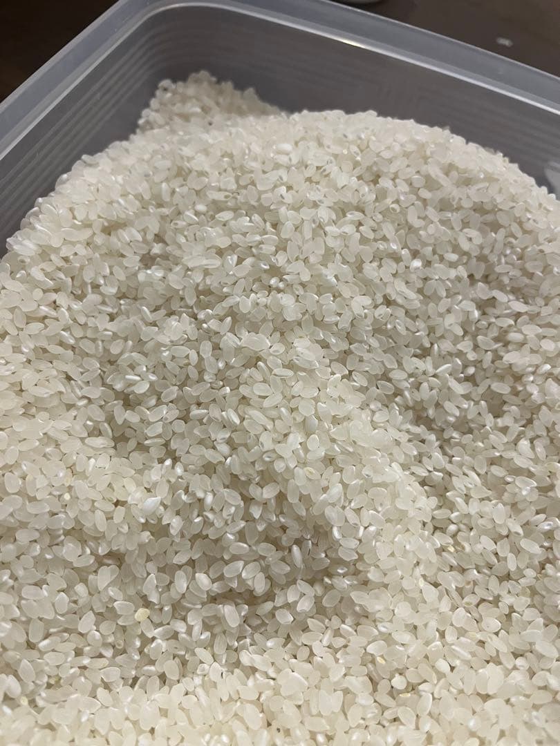 農家直売　兵庫県　令和７年産 コシヒカリ 10kg玄米　精米後９キロ　精米料無料