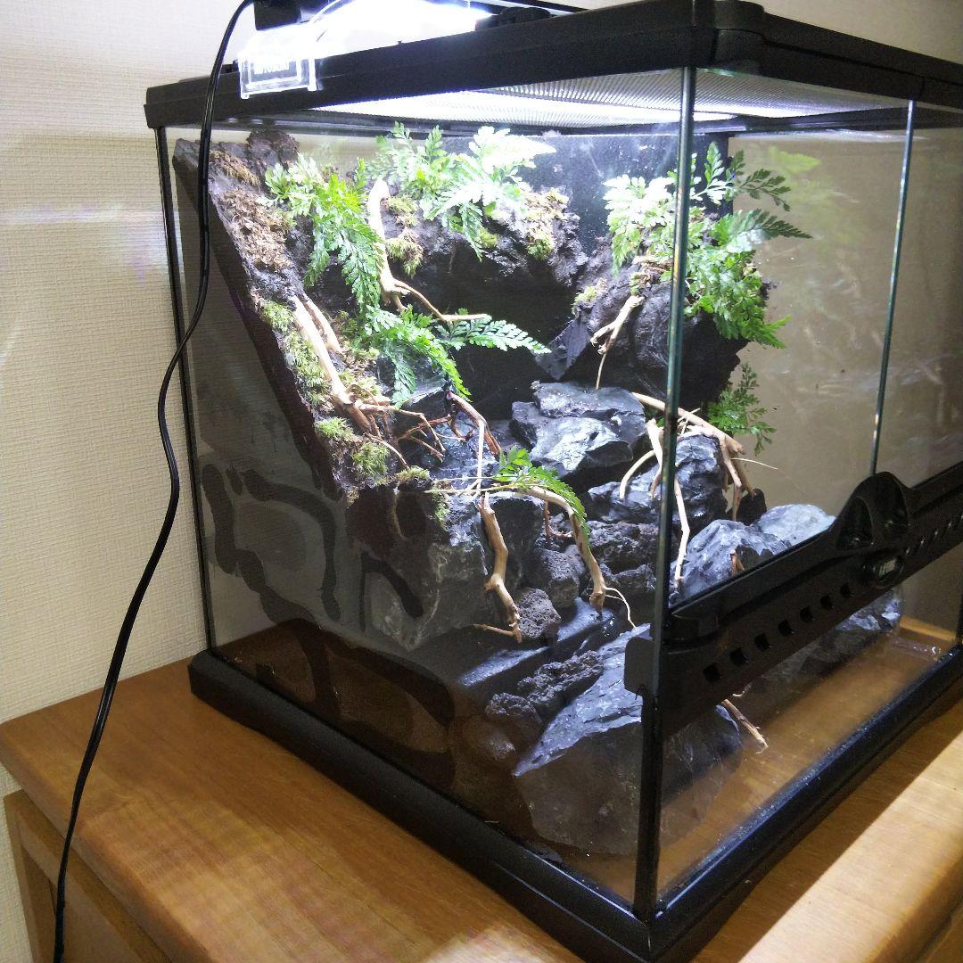 【受注生産】アクアテラリウム グラステラリウム