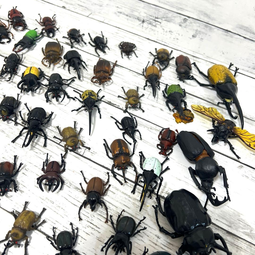 昆虫　フィギュア