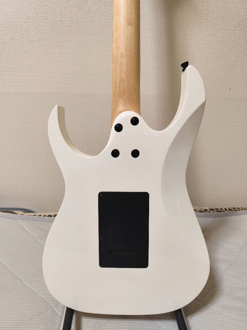 Ibanez Gio/ケース付