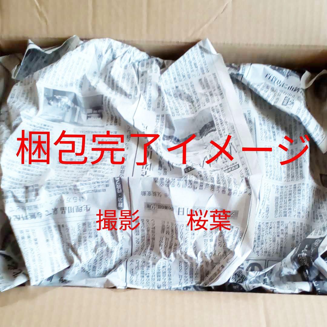 コトブキヤ メガミデバイス 皇巫 スサノヲ 新品　未開封　未組立