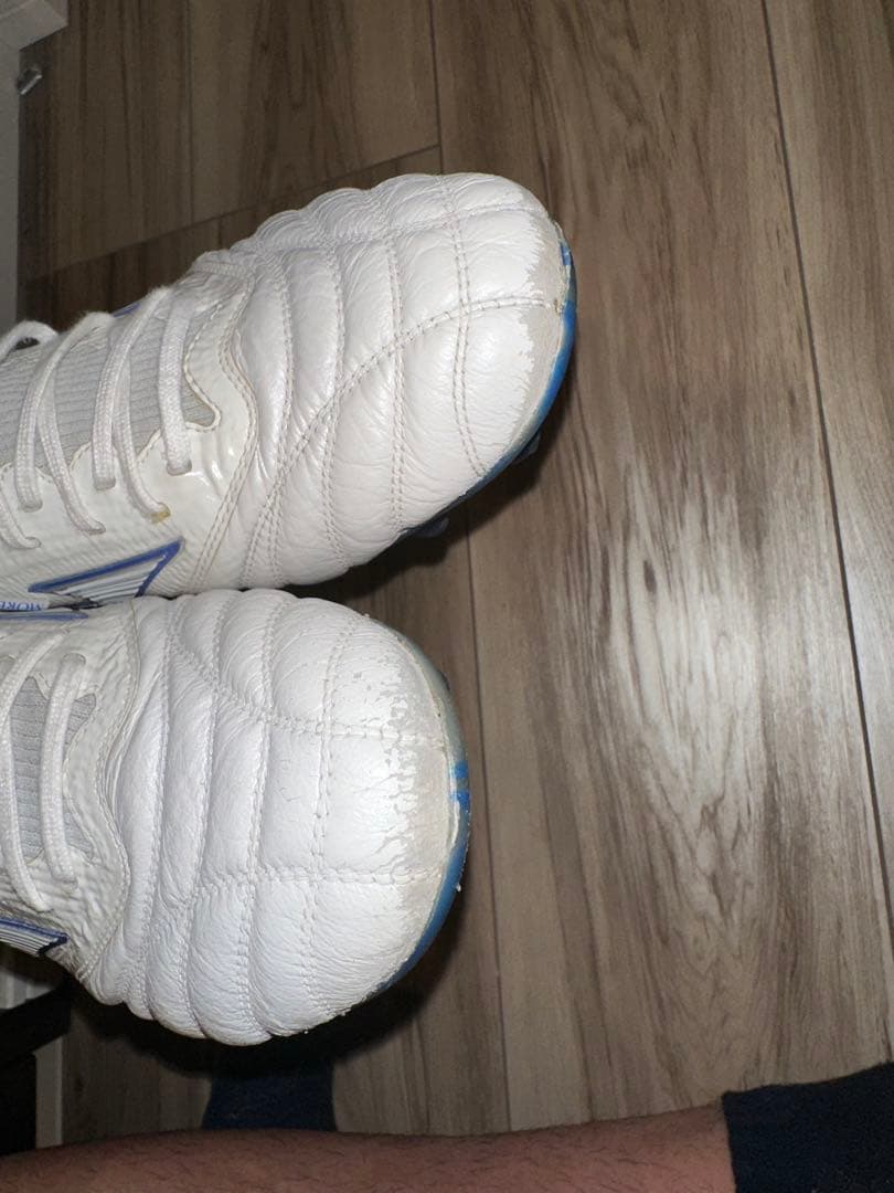 モレリアネオベータ　白×青