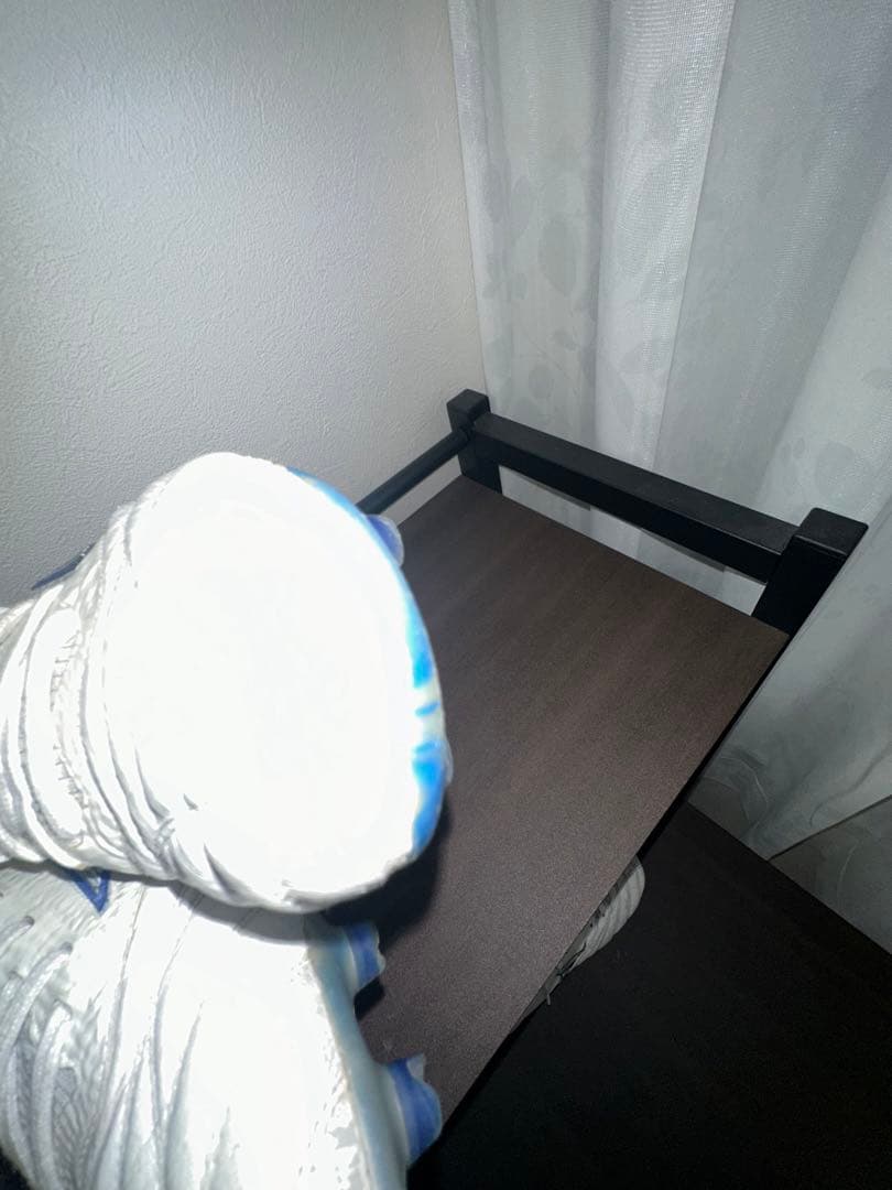 モレリアネオベータ　白×青