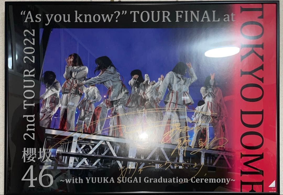 櫻坂46 藤吉夏鈴 As you know? 東京ドーム 直筆 サイン ポスター