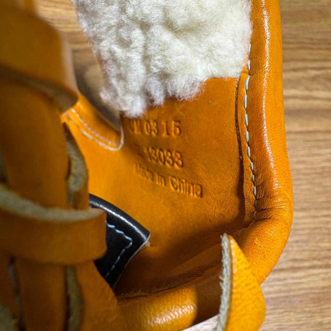 のぞみ168号　ミズノプログローブ