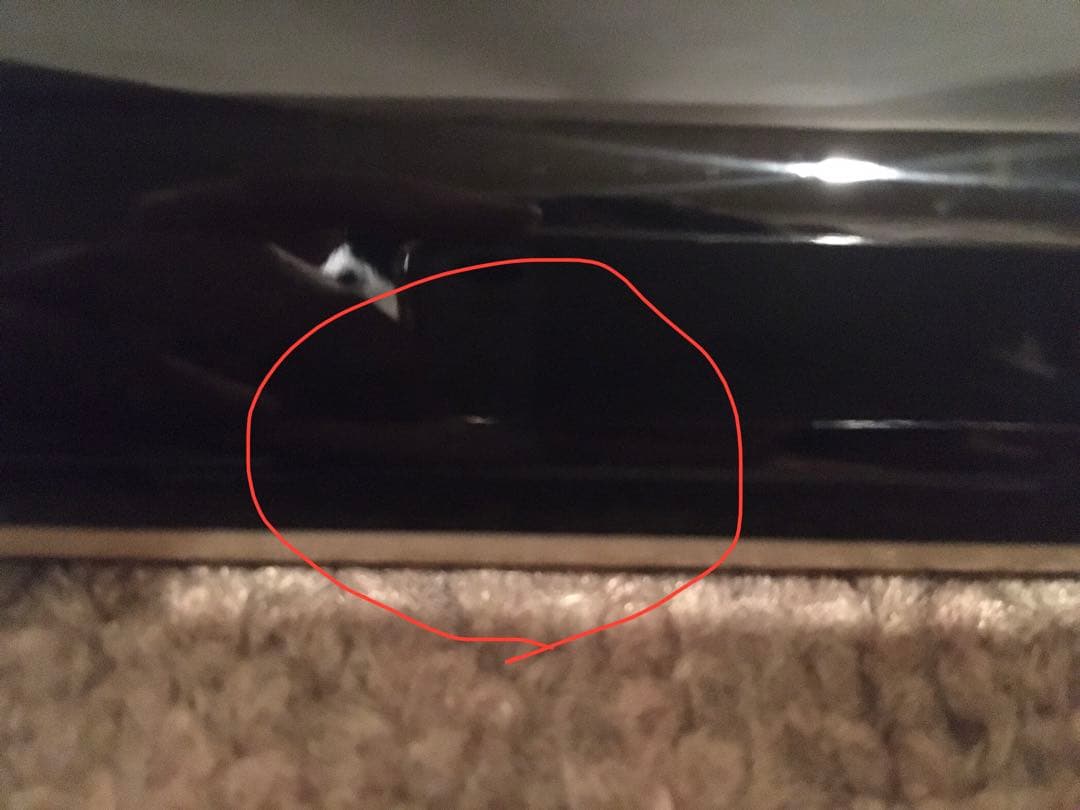 デイヴナヴァロ　シグネーチャーモデル Epiphone アコースティックギター