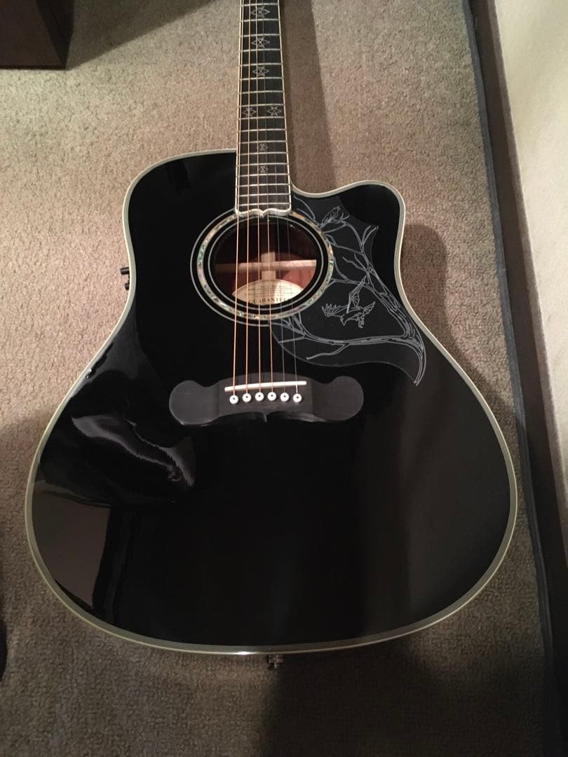 デイヴナヴァロ　シグネーチャーモデル Epiphone アコースティックギター