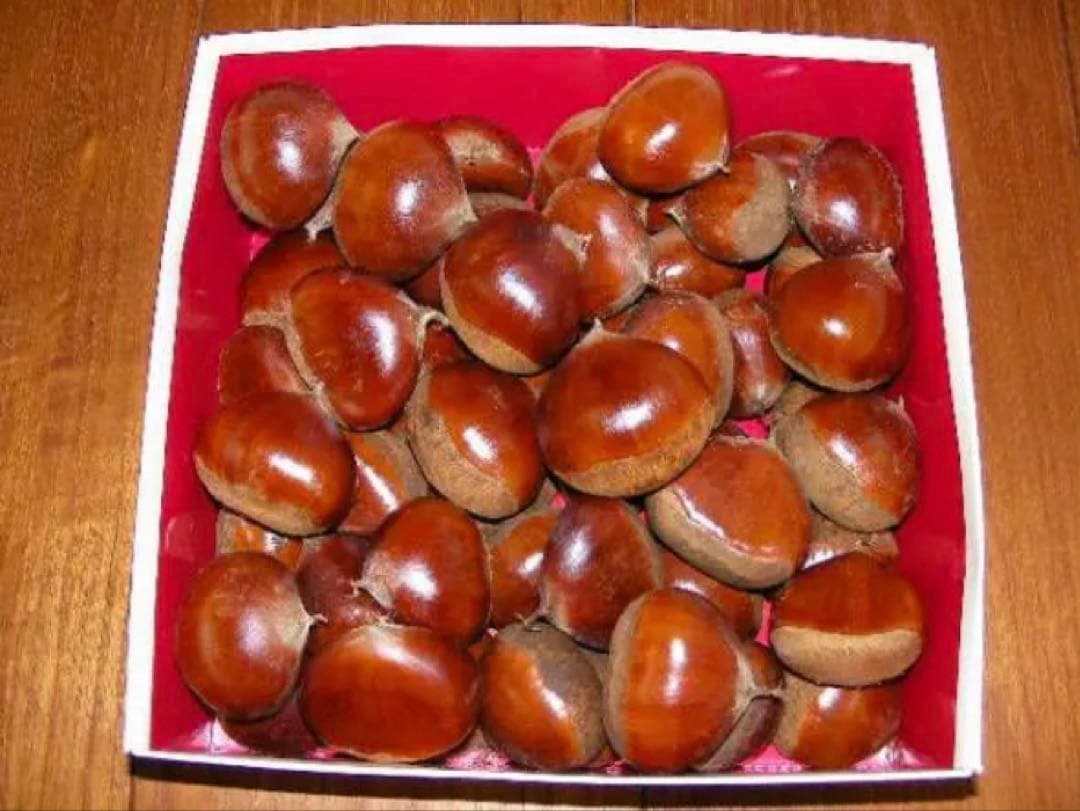 栗　Ｌ～大粒2Lサイズ　2.7と 利平栗　Ｍ～Lサイズ　1.8k