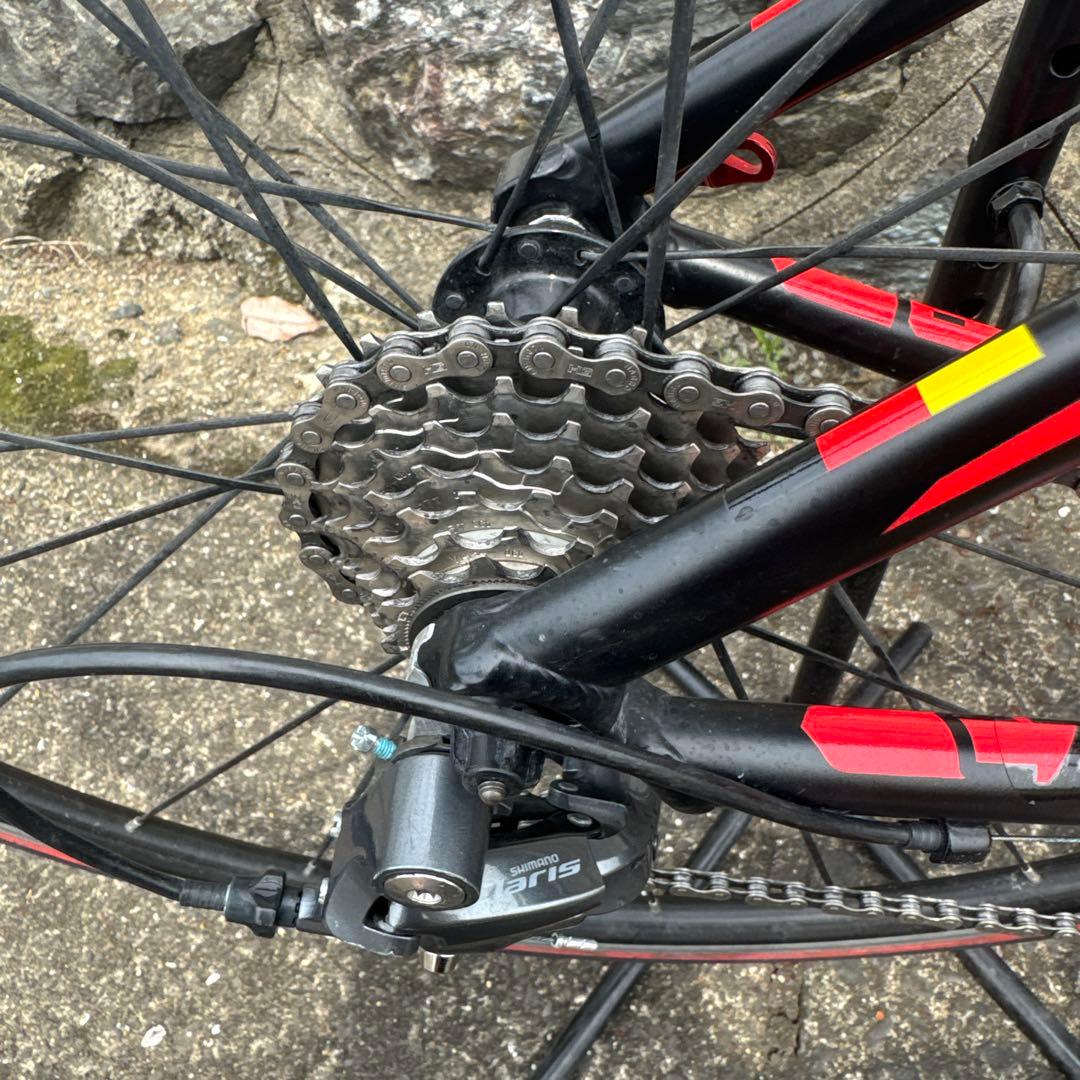 エビフライ台風様