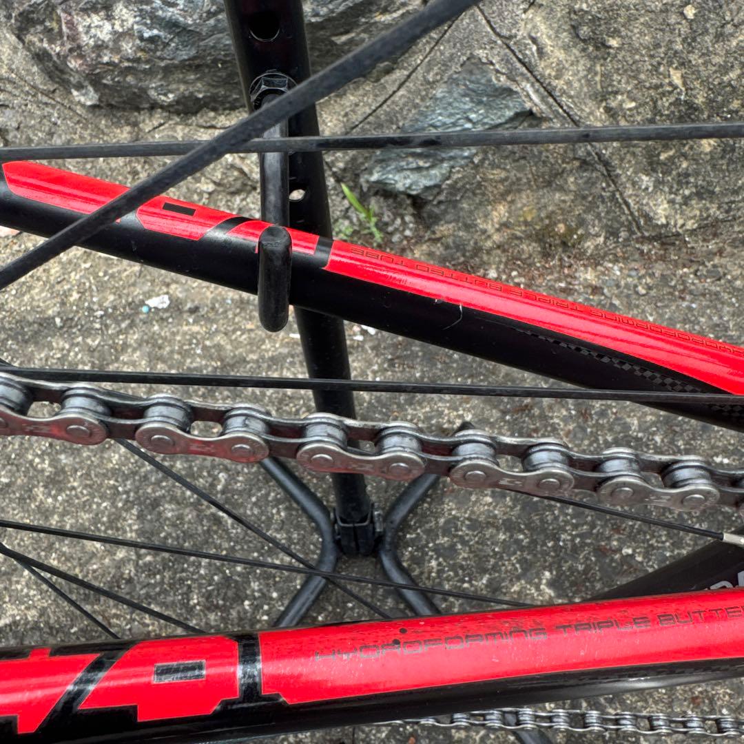 エビフライ台風様