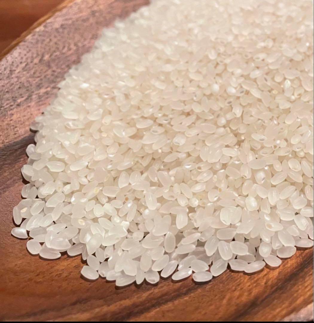 農薬化学肥料除草剤不使用　令和7年度新米　愛媛県産にこまる　天日干し米 10kg