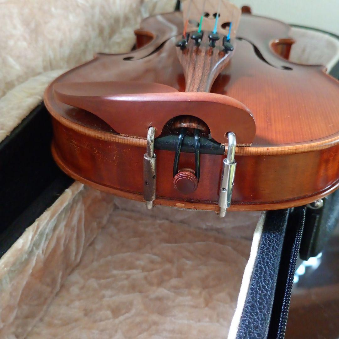 ピグマリウス スタンダード 2022年 アルシェ PE 1003 分数 1/4