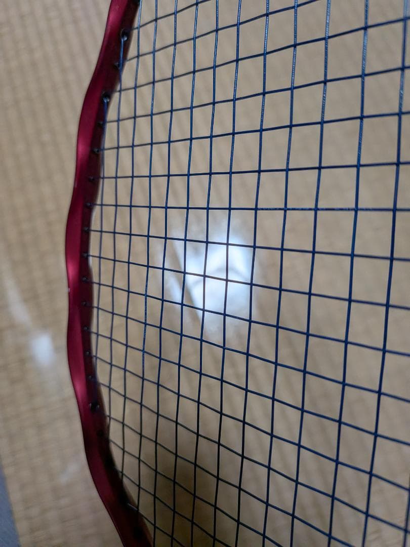 GOSEN インフェルノ レイド