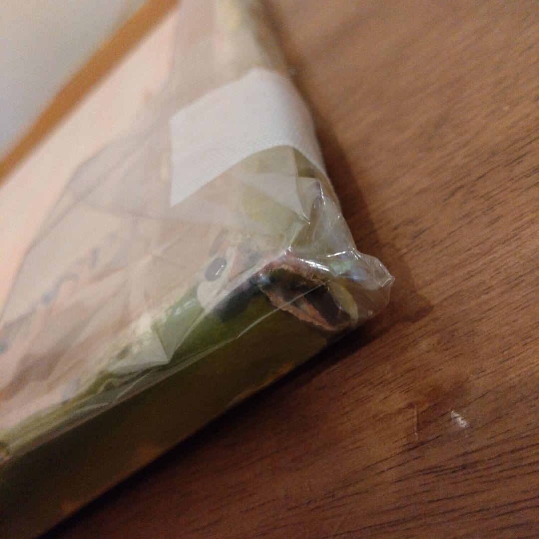 ティンガティンガ アフリカ tingatinga 絵画 ポップアート 60×60