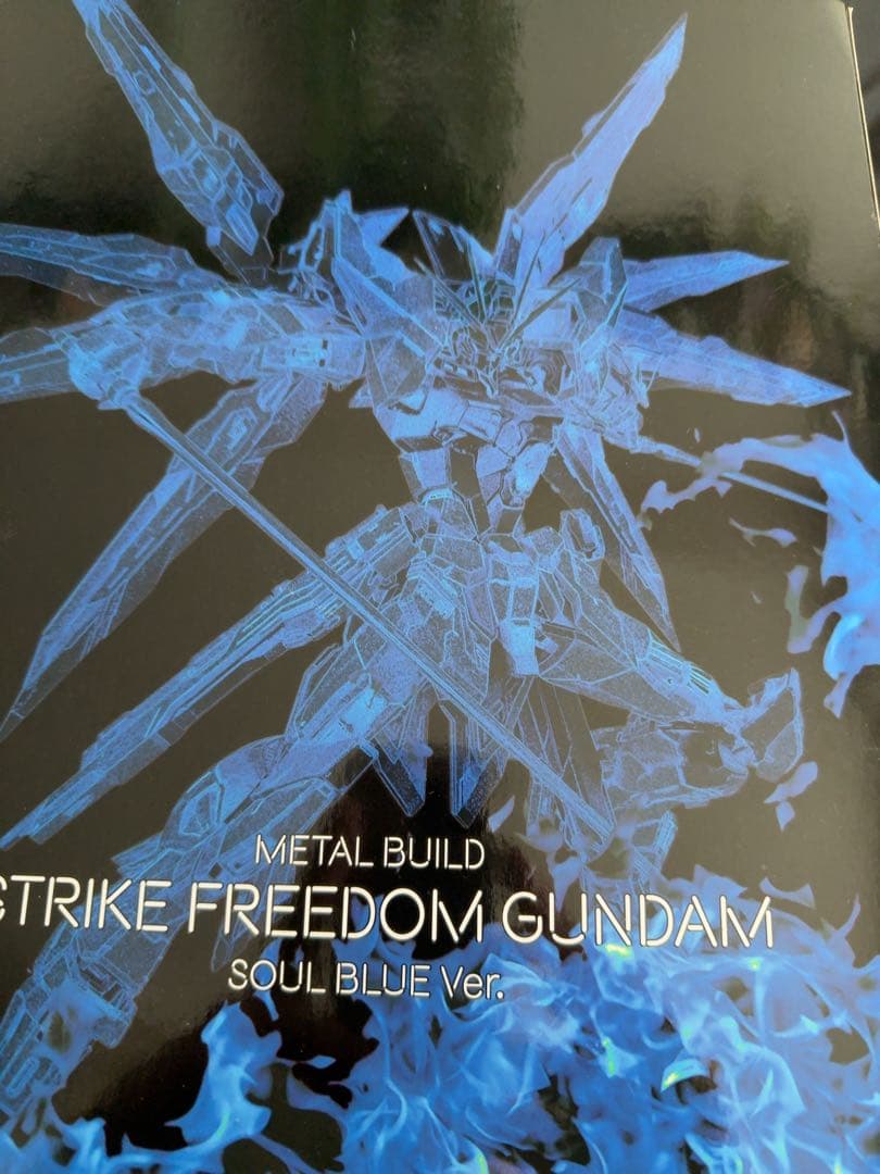 メタルビルド ストライクフリーダム　SOUL BLUE + 光の翼