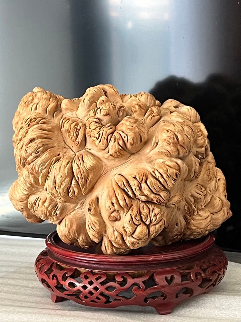 泡瘤 木の瘤 瘤杢 置物