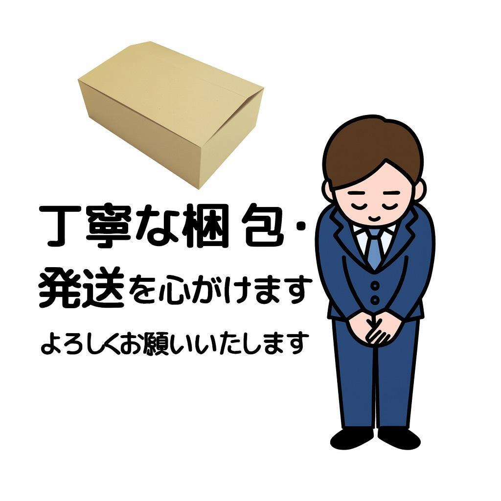 ANaturehike Tuye エアーマット SGS認証 R3.2~8.8 約