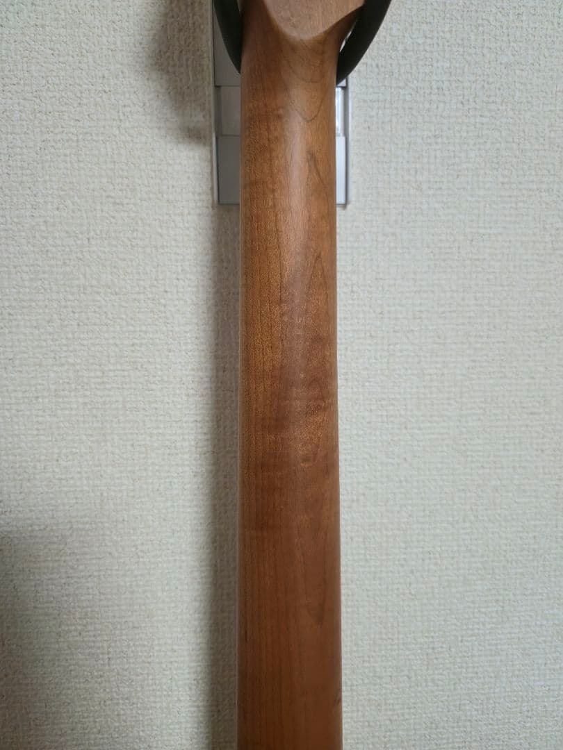 [美品]Bacchus BTE-1DX RSM/M Black