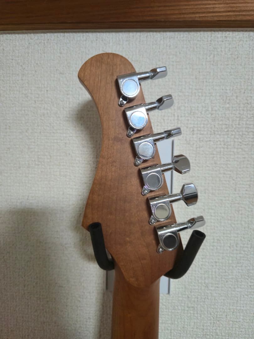 [美品]Bacchus BTE-1DX RSM/M Black