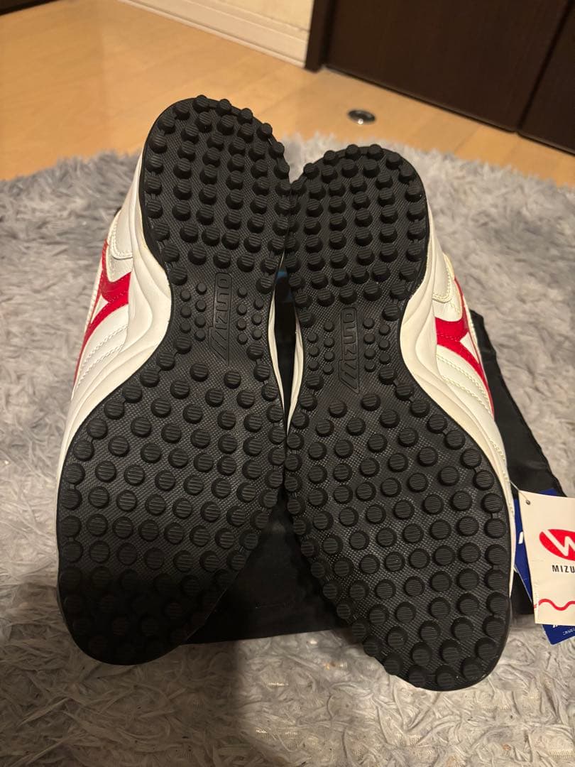 Mizuno ウェーブサンデー　トレーニングシューズ ホワイト/レッド27.5㎝
