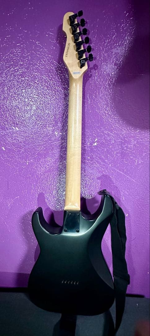 GrassRoots エレキギター