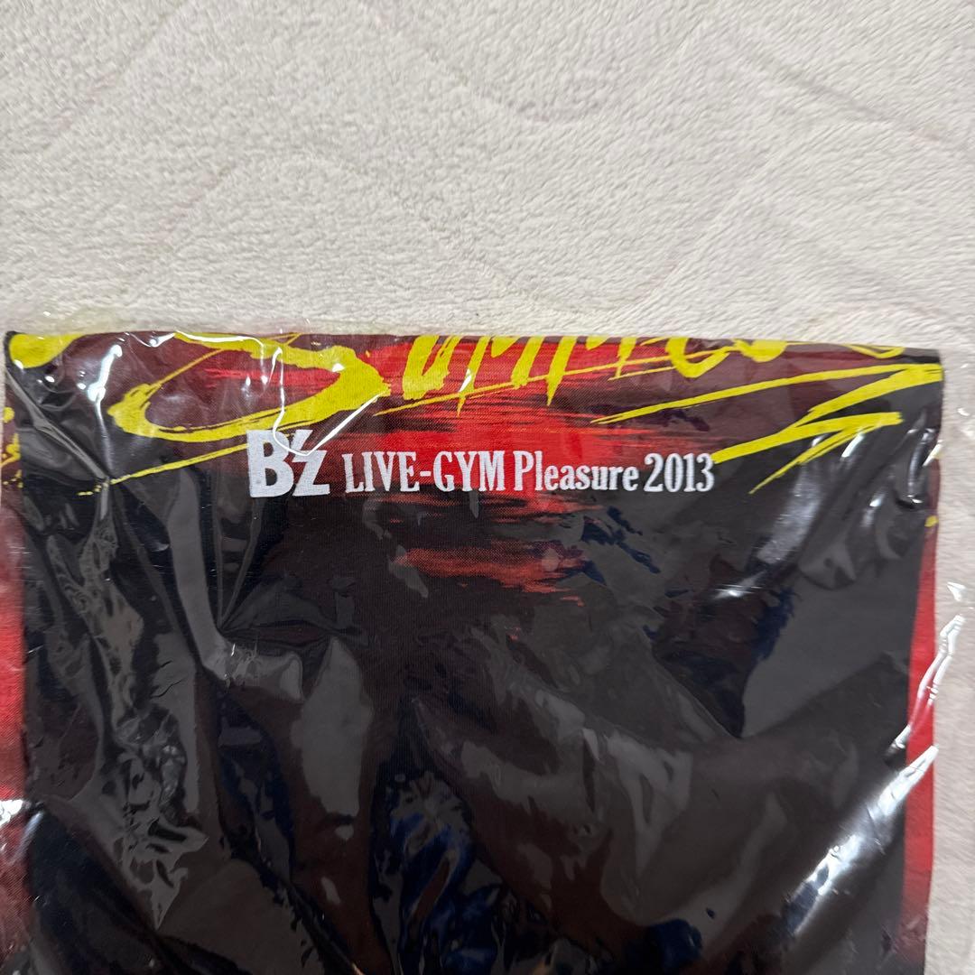 B'z LIVE 2013 ENDLESS SUMMER XL Tシャツ