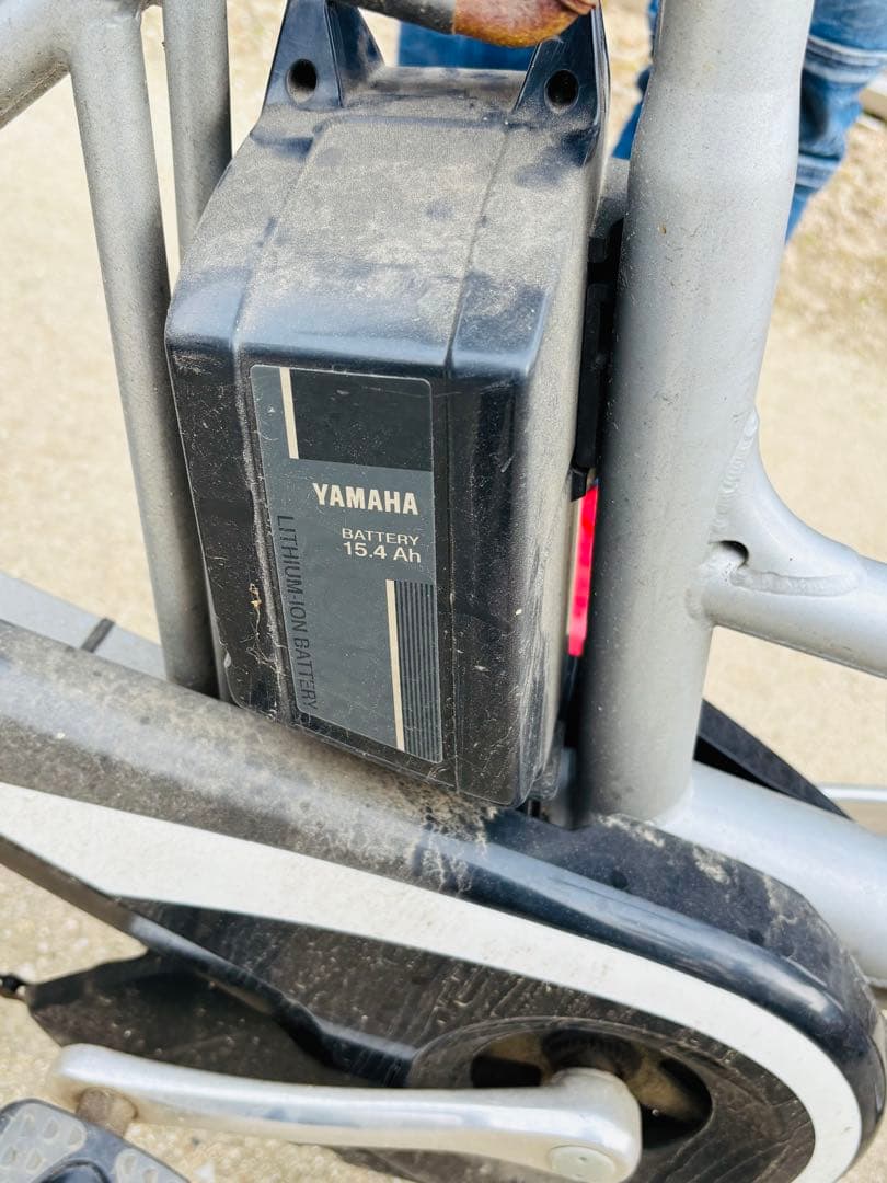 電動アシスト　パスギアカーゴ