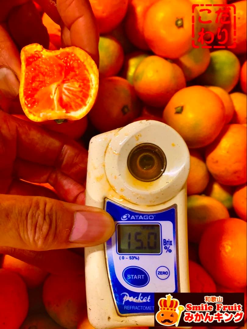 専用出品　ペコポコペン様　5kg