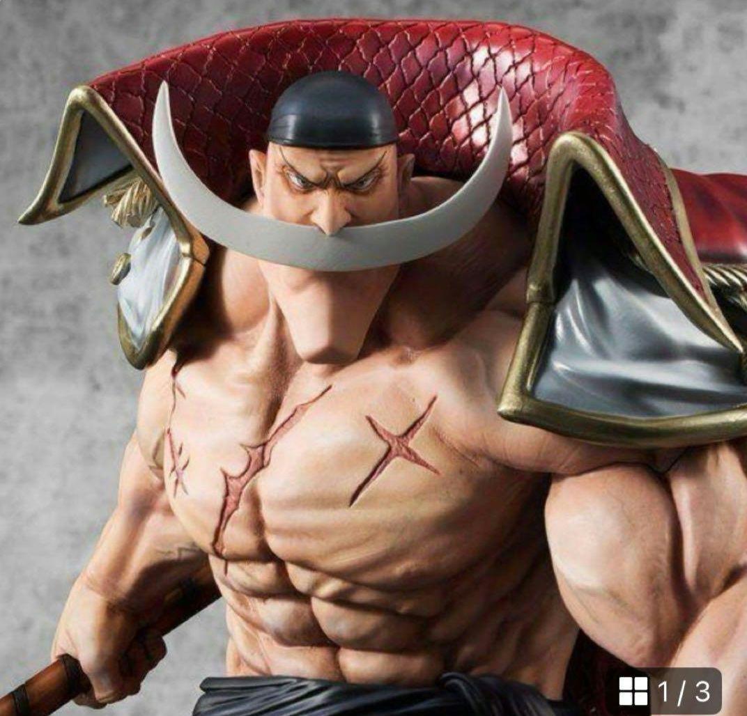 白ひげ　pop 新品未開封　国内正規品　即日輸送箱のままお届け