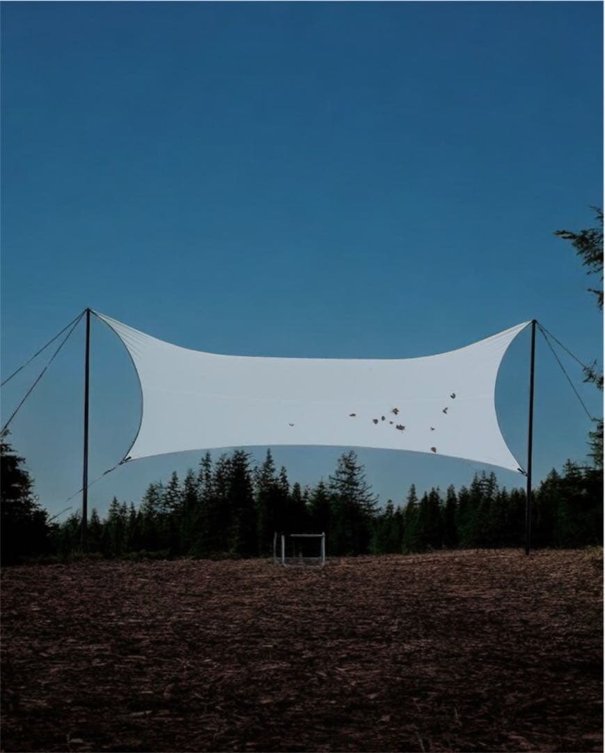 Telo tarp クリスマスリミテッド　シリアルナンバー付き