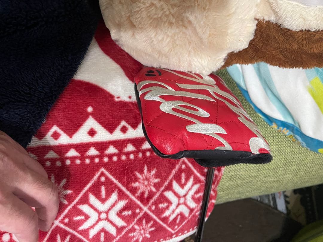 パター モデル：スパイダー GT ブラック T