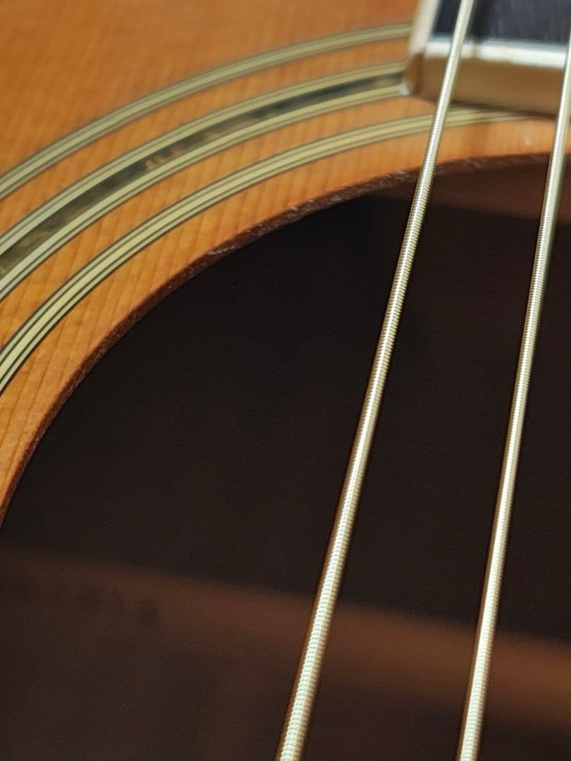 JAPANビンテージ/Vantage W-345/ギグケース付/美品