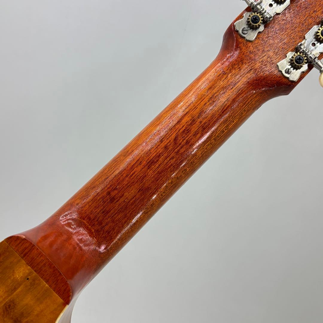 希少 バンドゥリア 小型 リュート属 12弦 撥弦楽器 スペイン ラテンアメリカ