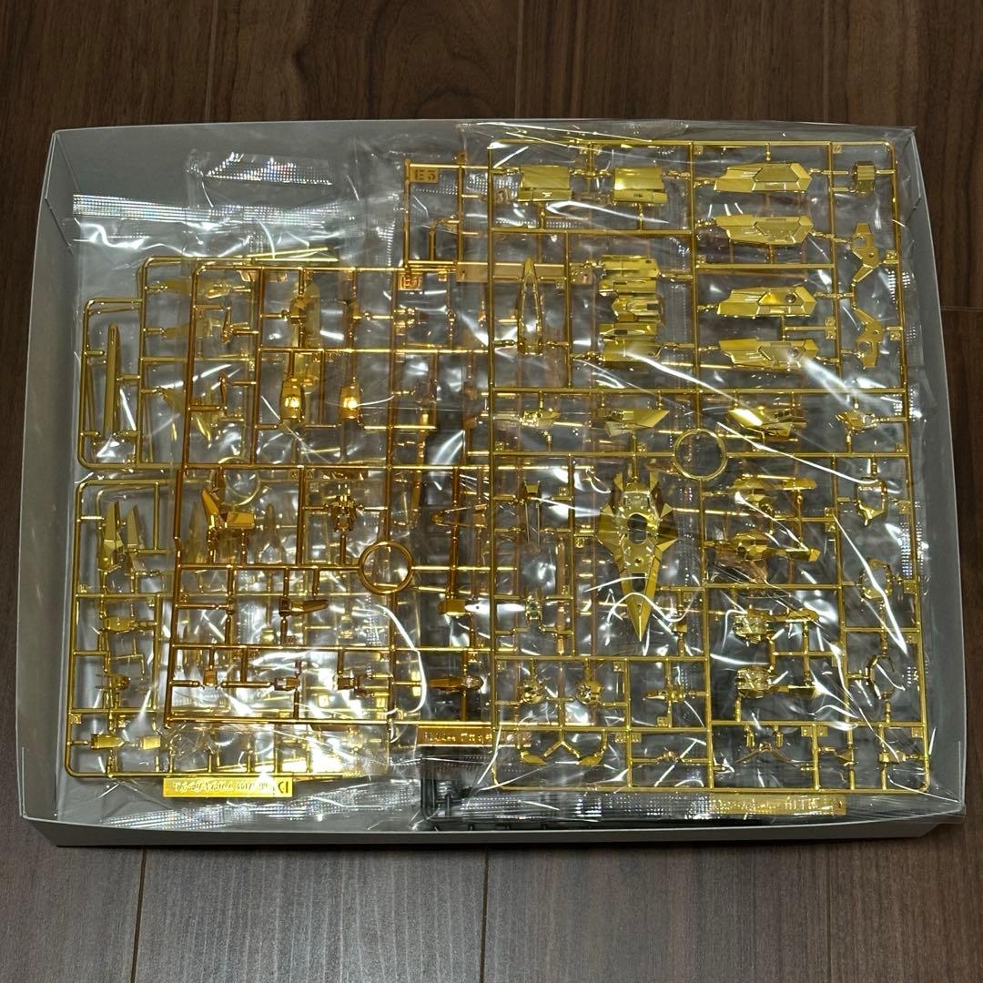 RG 1/144 アカツキガンダム(オオワシ装備)