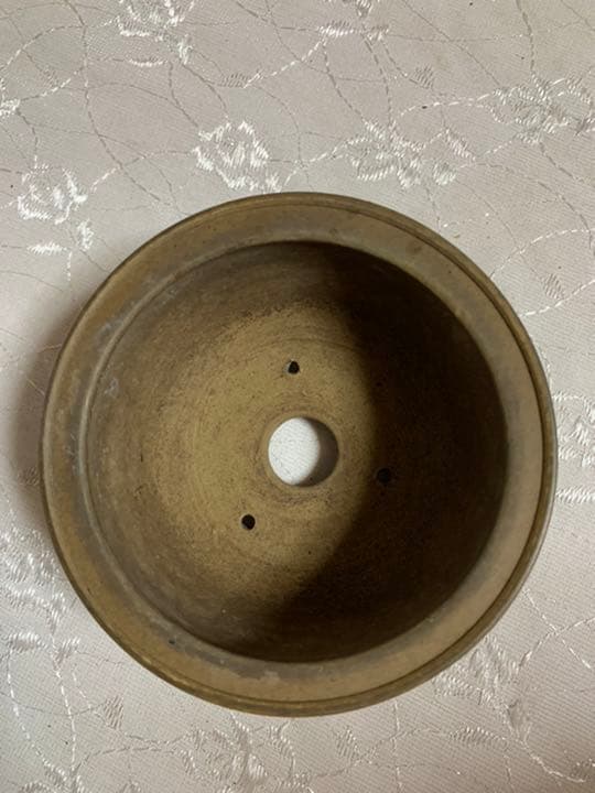 佐太郎　丸　絵付