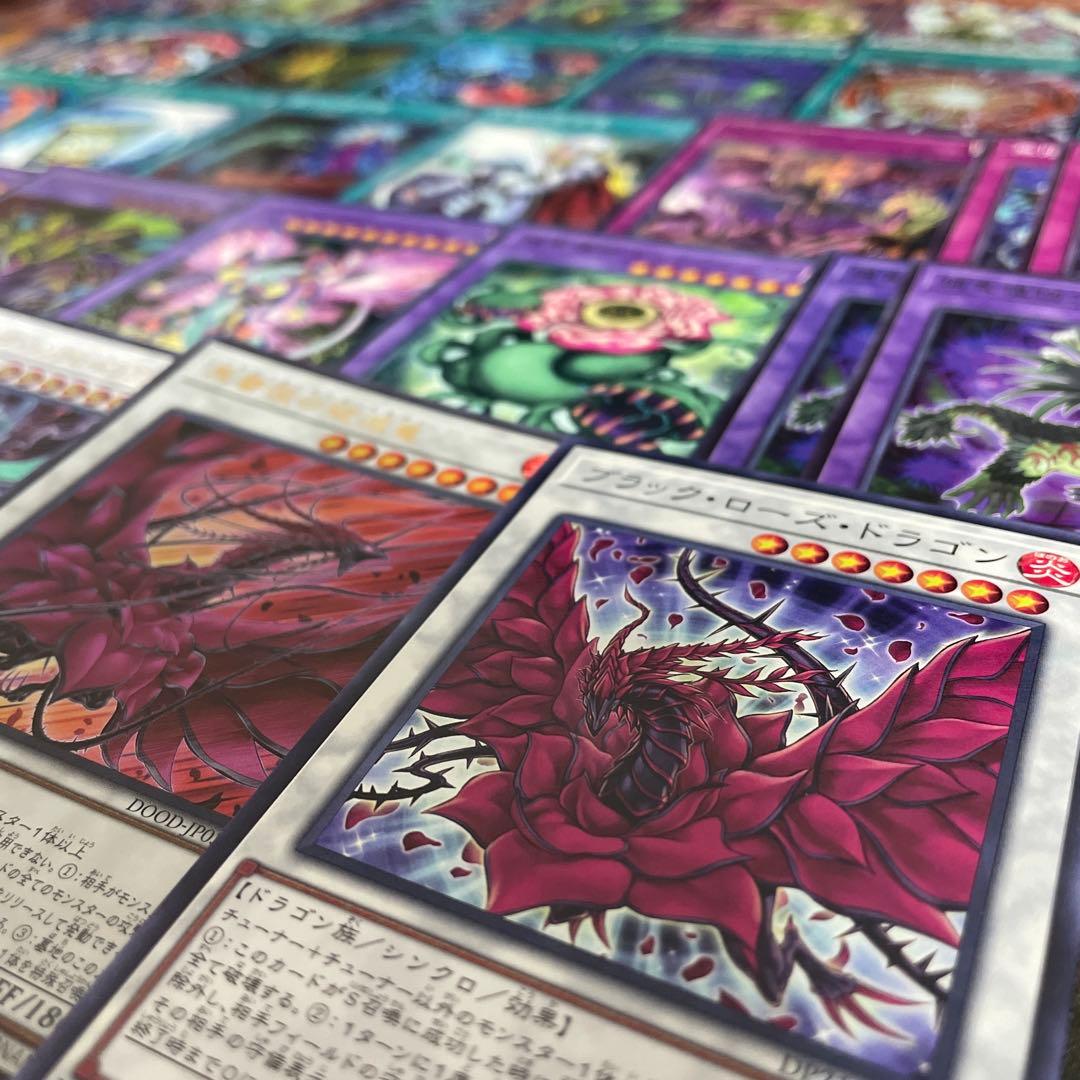 本格構築 捕食植物デッキ プレデタープランツデッキ 血樹竜姫ドラセリア