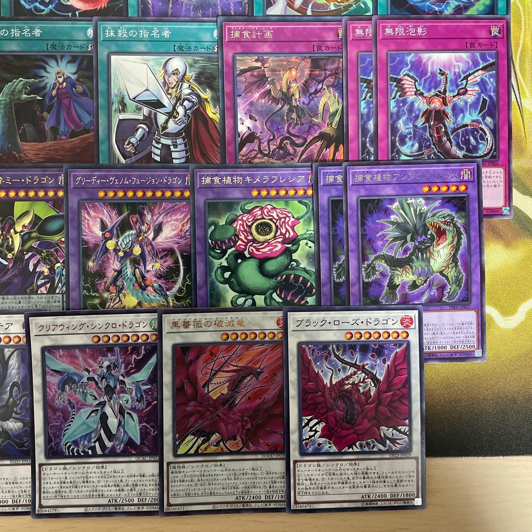 本格構築 捕食植物デッキ プレデタープランツデッキ 血樹竜姫ドラセリア