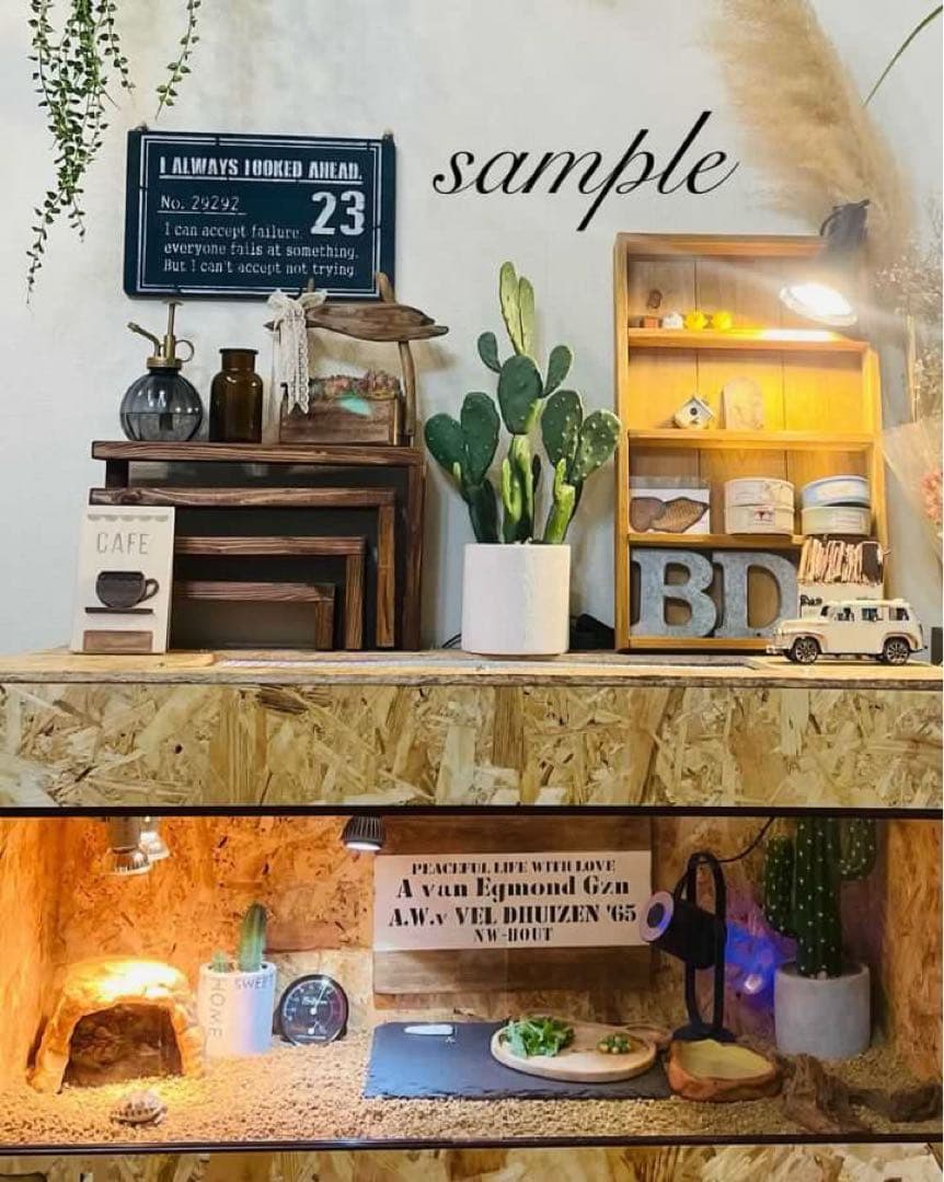 爬虫類ケージ　木製ケージ　 フトアゴ　ハリネズミ プロフ必読　フルオプ送料込み