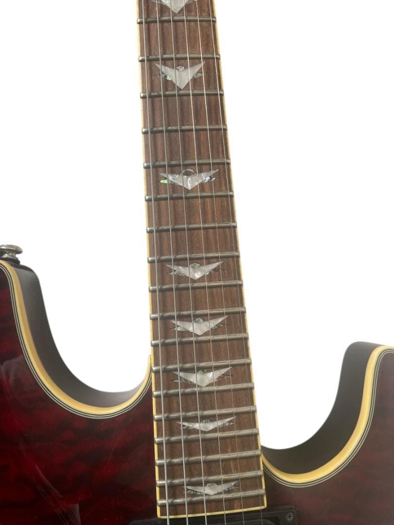 シェクター　OMEN EXTREME -6　SCHECTER (SGR-1C)